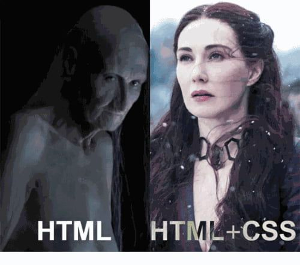 Game of Thrones CSS Meme